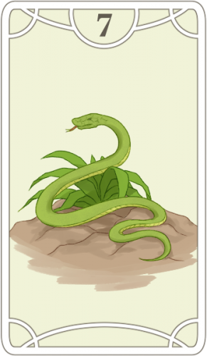 ルノルマンカードの蛇