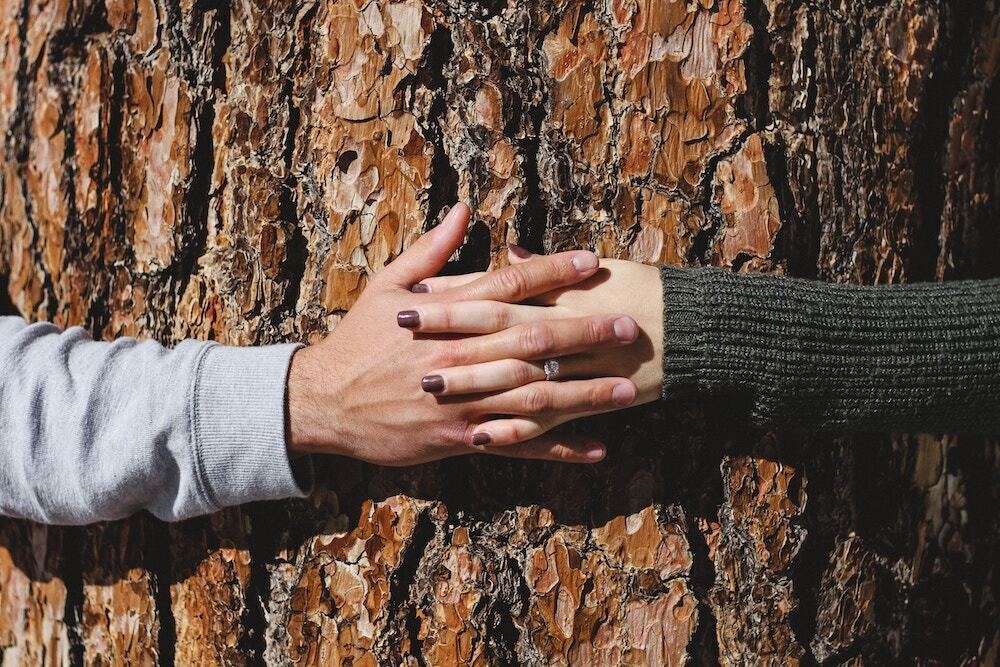 木の上で繋いでいる男女の手の画像