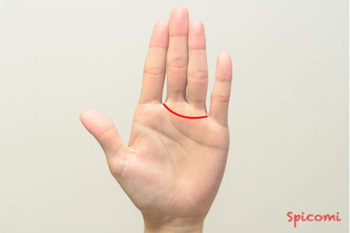 ［手相占い］モテ線（人差し指と中指の間から、薬指と小指の間までを弧を描くようにつながる線）