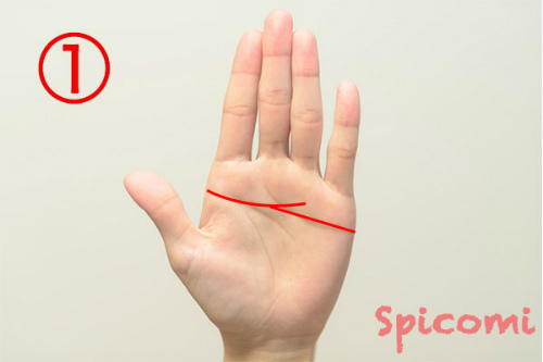 真っ直ぐな感情線に上向きの知能線が接している変型ますかけ線