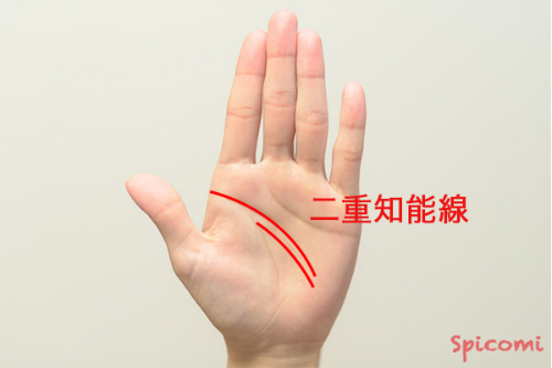 ［手相占い］長い二重知能線（二重頭脳線）が現れている