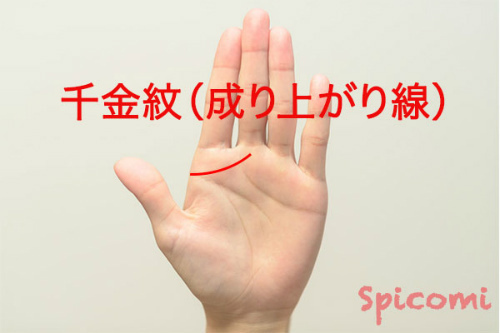 手相占いの千金紋（成り上がり線）