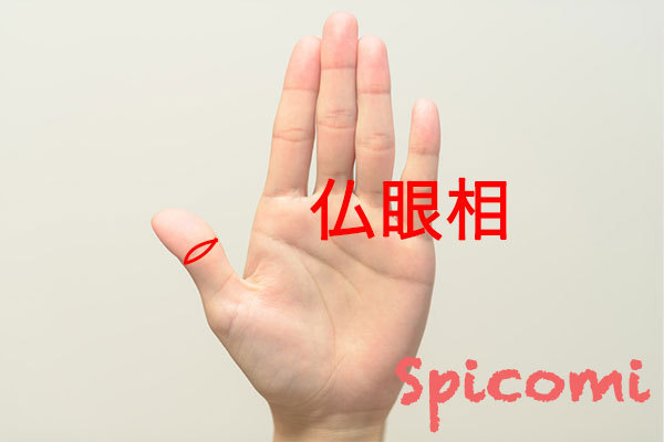 ［手相占い］仏眼相の形と意味
