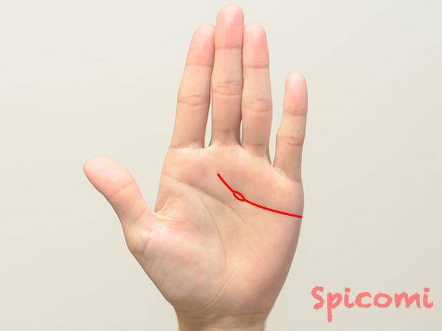 感情線に島がある