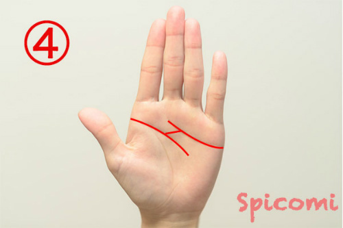 感情線から知能線に支線（造形線）が伸びている変型ますかけ線