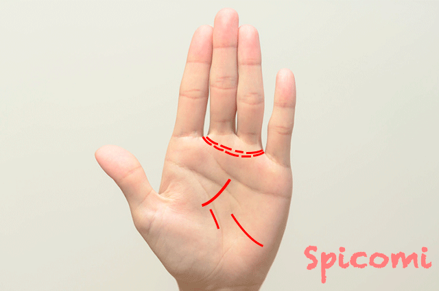 告白される予兆の手相は？