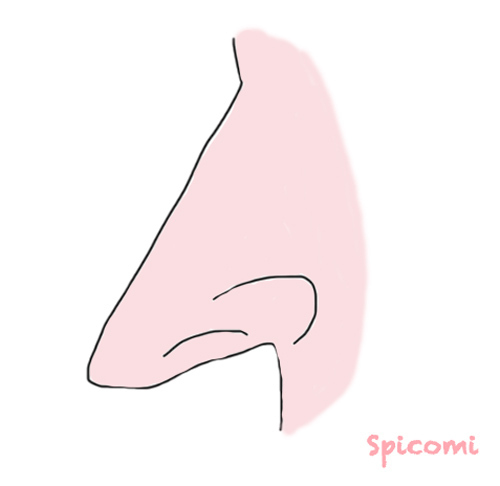 魔女鼻の特徴5個