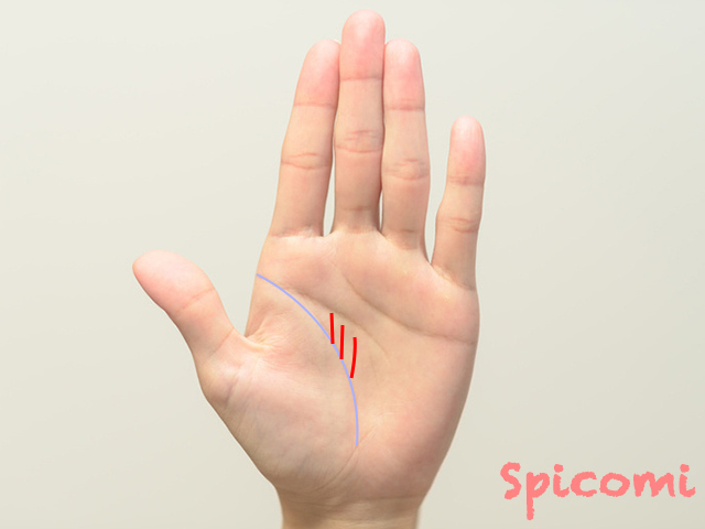 手相占いで昇り龍線（龍神線）の意味