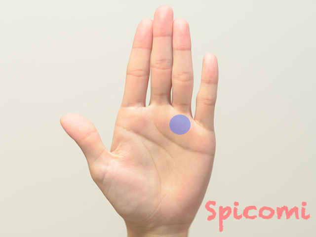 手相で薬指の下の丘の意味とは?
