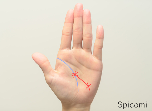 水難の相の手相（生命線上のスター線と月丘の十字線がつながっている）