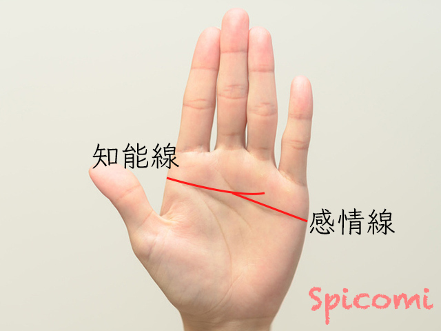 変形ますかけ線の意味とは？