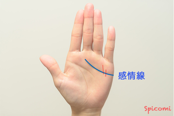 ［手相占い］感情線を縦に通過する縦線