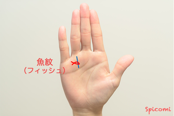 ［手相占い］太陽線にフィッシュ（魚紋）が接している