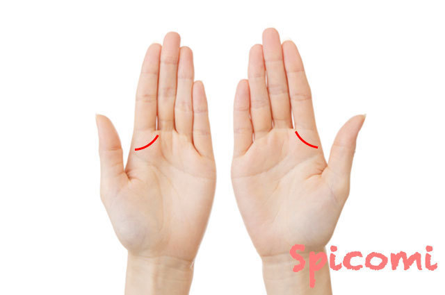 マネジメント線が両手にある