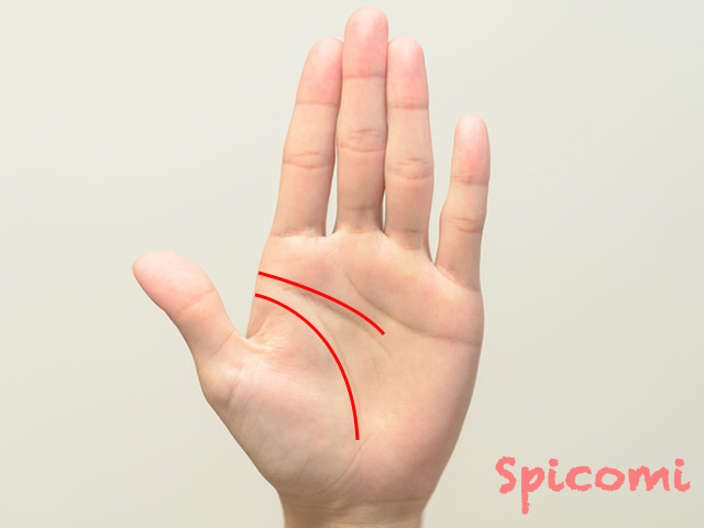 頭脳線と生命線の始点が大きく離れている