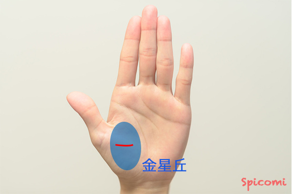 ［手相占い］親指の付け根の横線