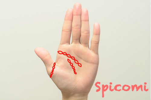 鎖状の手相が多い