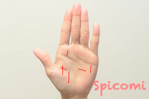 手のひら全体にシワ