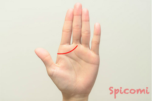 千金紋（成り上がり線）が長い場合