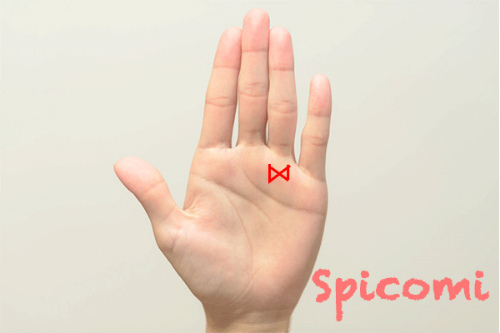 蝶々紋（リボンマーク）が薬指の下（太陽丘）にある