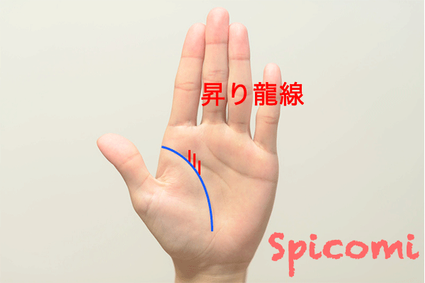 手相の昇り龍線（努力開運線）