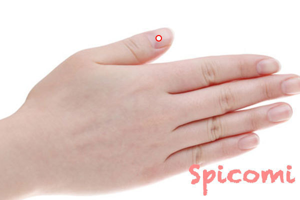 親指の爪に白点がある