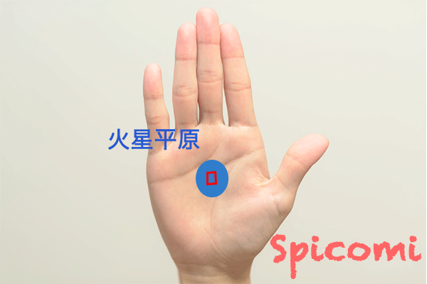 火星平原（手のひらの中央・真ん中）に四角紋・スクエア