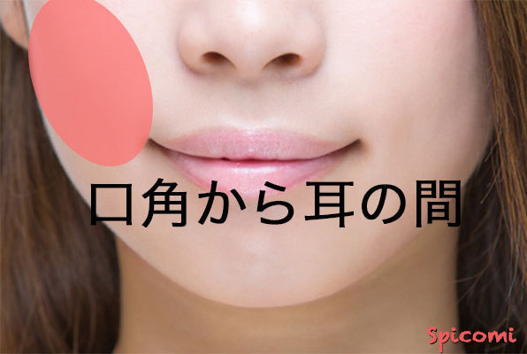 ［ほくろ占い］口角から耳の間にあるほくろの意味と運勢
