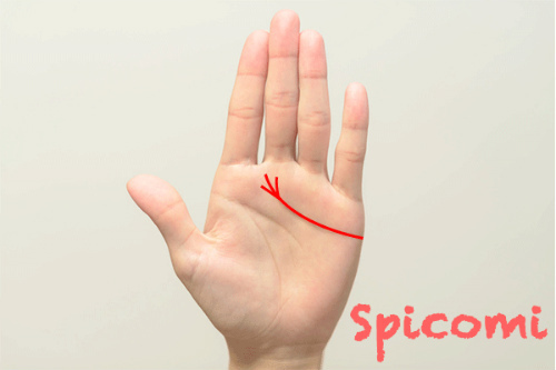 感情線が長いあげまん線