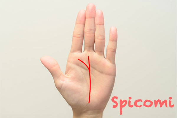 運命線の二股の片方が木星丘から伸びている