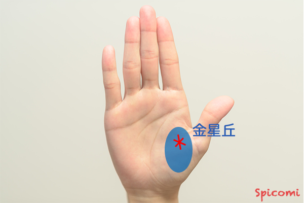 ［手相占い］星紋（スター）が金星丘にある