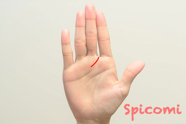 社交線が右手にある