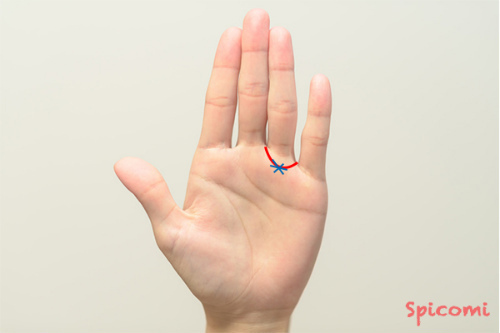 ［手相占い］太陽環にスターが現れている