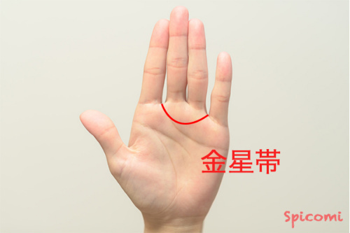 ［手相占い］金星帯（金星環）が長い
