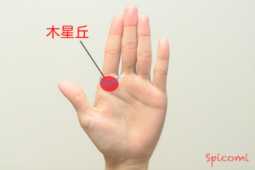 ［手相占い］木星丘にソロモンの環が現れている