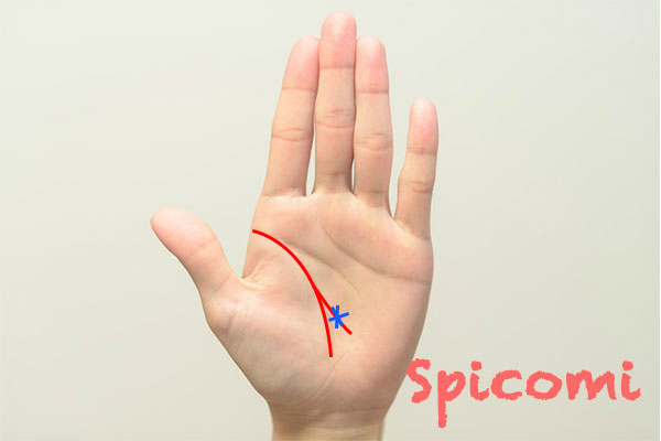 枝分かれしている生命線にスター線がある