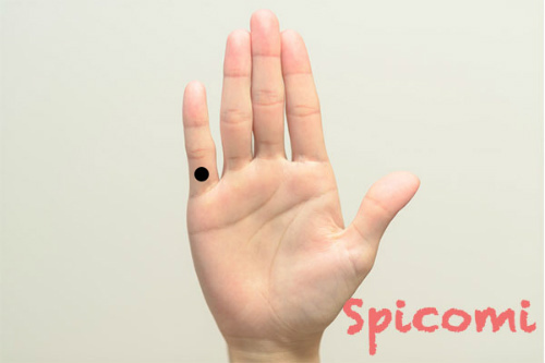 右手小指の第三関節より上のほくろ