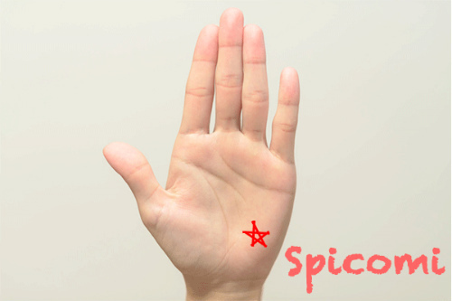 五芒星が月丘にある