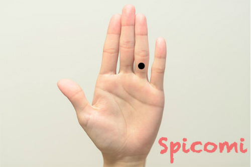 左手薬指の第三関節より上のほくろ