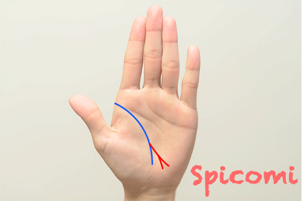 旅行線が二股に分かれている