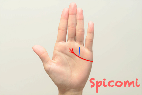 感情線に太陽線が接しているあげまん線