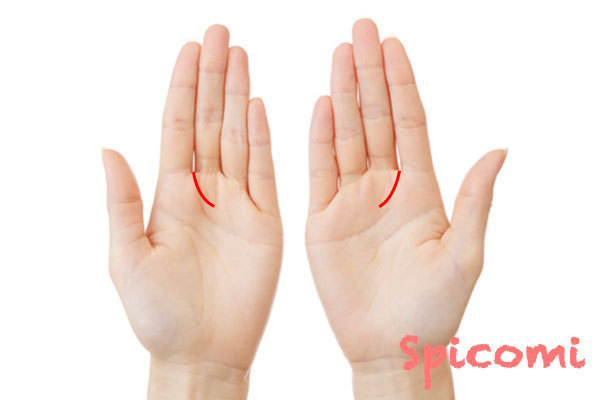 社交線が両手にある