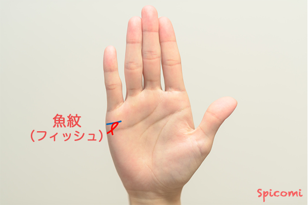 ［手相占い］結婚線にフィッシュ（魚紋）が接している