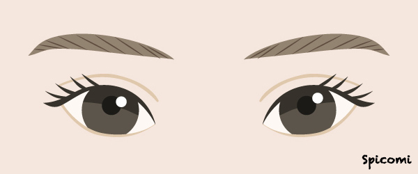 上がり目の性格・運勢［目の形の種類・人相占い］