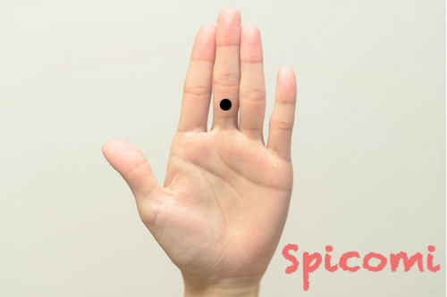 左手中指の第三関節より上のほくろ