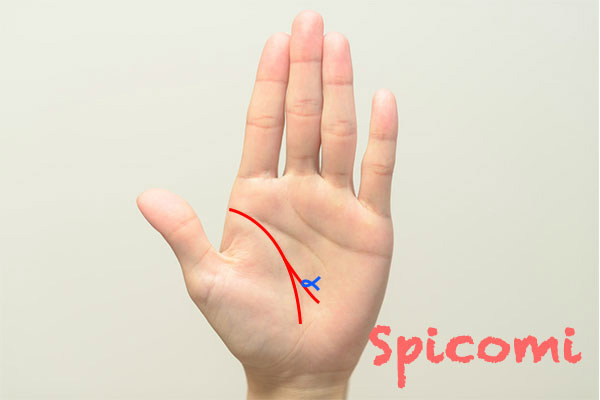 枝分かれしている生命線にフィッシュがある