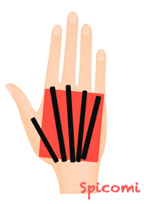 ［ほくろ占い］右手の各指の延長線を除いた右手の甲のほくろ