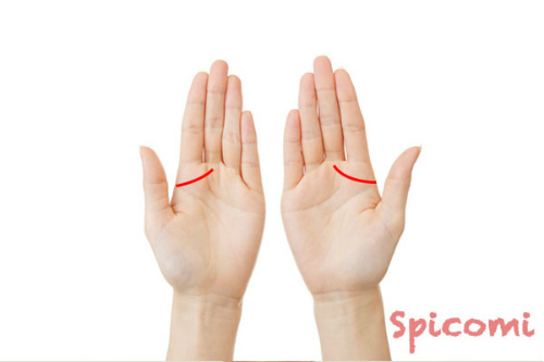 千金紋（成り上がり線）が両手にある場合