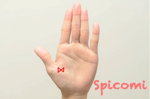 蝶々紋（リボンマーク）が親指の付け根（金星丘）にある