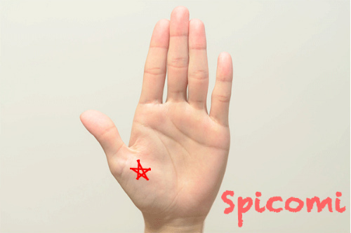 五芒星が金星丘にある